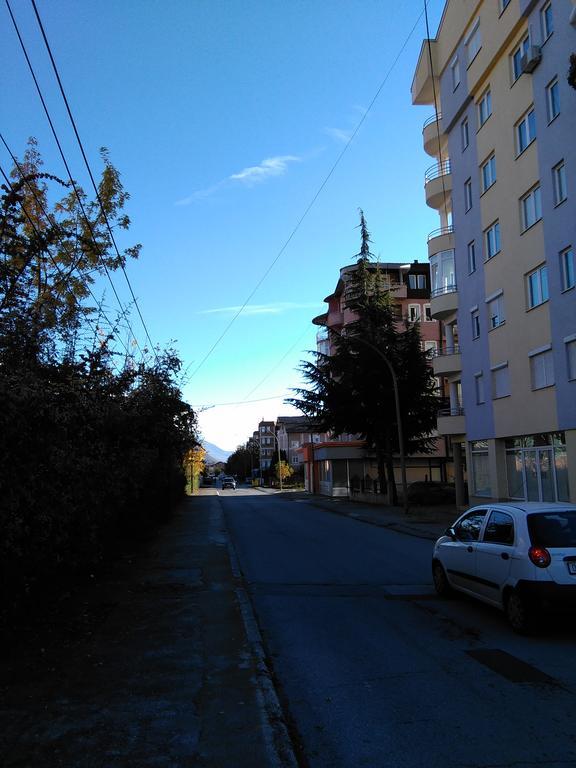 Toshe Apartman Ohrid Kültér fotó